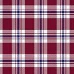 rich burgundy check