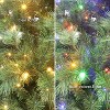 Puleo 6.5' Pre-Lit Artificial Vermont Pine Christmas Tree with 300 Dual Function LED Lights - 4 of 4
