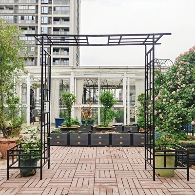 Dolonm Metal Garden Arch with Gate Climbing Plants Support Rose Arch Outdoor Black