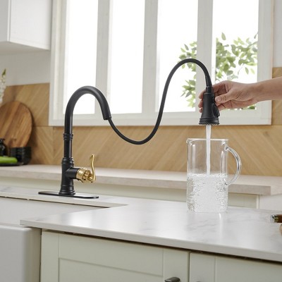 Matte Black and Gold Single-Handle Pull-Down Kitchen Faucet
