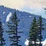 fencepost grey narrow