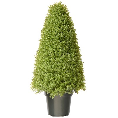 Boxwood Tree with Pot (36")