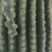 24p0912