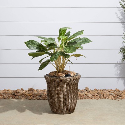 Ocala Curved Oval Self-Watering Planter Mocha - Vifah