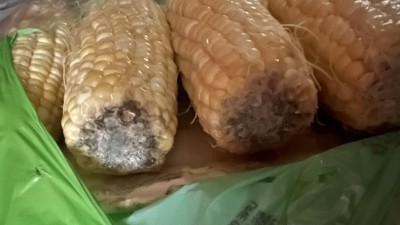 Guest review image 1 of 3, zoom in