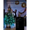 Twinkly Strings App-Controlled LED Christmas Lights 250 RGB (16 Million Colors) 65.6 feet Green Wire Indoor/Outdoor Smart Lighting Decoration (2 Pack) - image 4 of 4