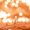 Aghana Digitals 100ft Warm White LED String Lights, 300 LEDs with 8 Modes, Remote Control, PVC - 4 of 4