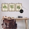 Stupell Industries Les Palmiers Botanical Trio, 17" x 21" - 3 of 4