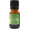 Plantlife Fir Needle Essential Oil – 100% Pure, Therapeutic Grade, Natural & Steam-Distilled, No Additives or Fillers, 10 ml - 2 of 2