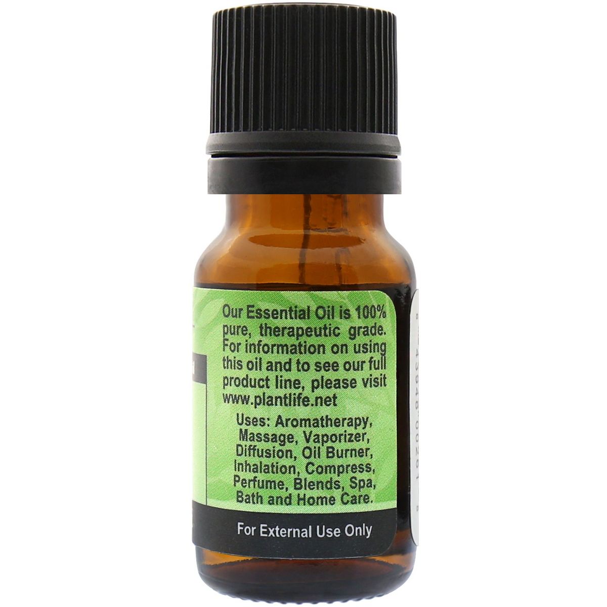 Plantlife Fir Needle Essential Oil – 100% Pure, Therapeutic Grade, Natural & Steam-Distilled, No Additives or Fillers, 10 ml - thumbnail 2
