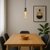 Festive Living G125 + LED Filament Outdoor Covered Patio Pendent Edison Replacement Bulbs, Warm White 2700K, E26 Medium Base - 4 of 4