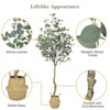 Artificial Eucalyptus Tree 4/5/6 FT Tall Faux Eucalyptus Stems Fake Plants with Silver Dollar Leaves, Fake Trees for Decor, with Plastic Nursery Pot - 3 of 4
