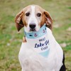 Pavilion Gift Company - Lake Dog - 12" x 8" Canvas Slip on Pet Bandana - Pet Apparel Accessories - 2 of 4