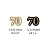 Big Dot of Happiness Adult 70th Birthday - Gold - Paper Straw Decor - Birthday Party Striped Decorative Straws - Set of 24 - 2 of 4