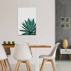 iCanvas Agave Cactus by Orara Studio Canvas Print Wall Art - 3 of 3