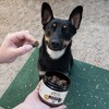 Hemp Well Thrive Dog Soft Chews – Your Dog's Daily Wellness Alternative - 2 of 4