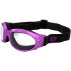 2 Pairs of Birdz Eyewear Eagle Safety Goggles - 3 of 4