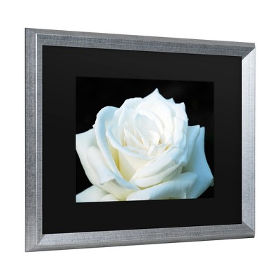 Trademark Fine Art-Kurt Shaffer 'White Rose II' Canvas Art
