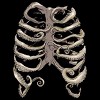 Men's Design By Humans Your Rib Is an Octopus By huebucket T-Shirt - 2 of 4