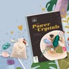 Hinkler Elevate: The Power of Crystals Kit for Adults - 4 of 4