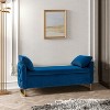 Christoph Modern Upholstered Flip Top Storage Bench with Two Pillows for Foot of Bed|ART OF LIVING DESIGNS - 2 of 4