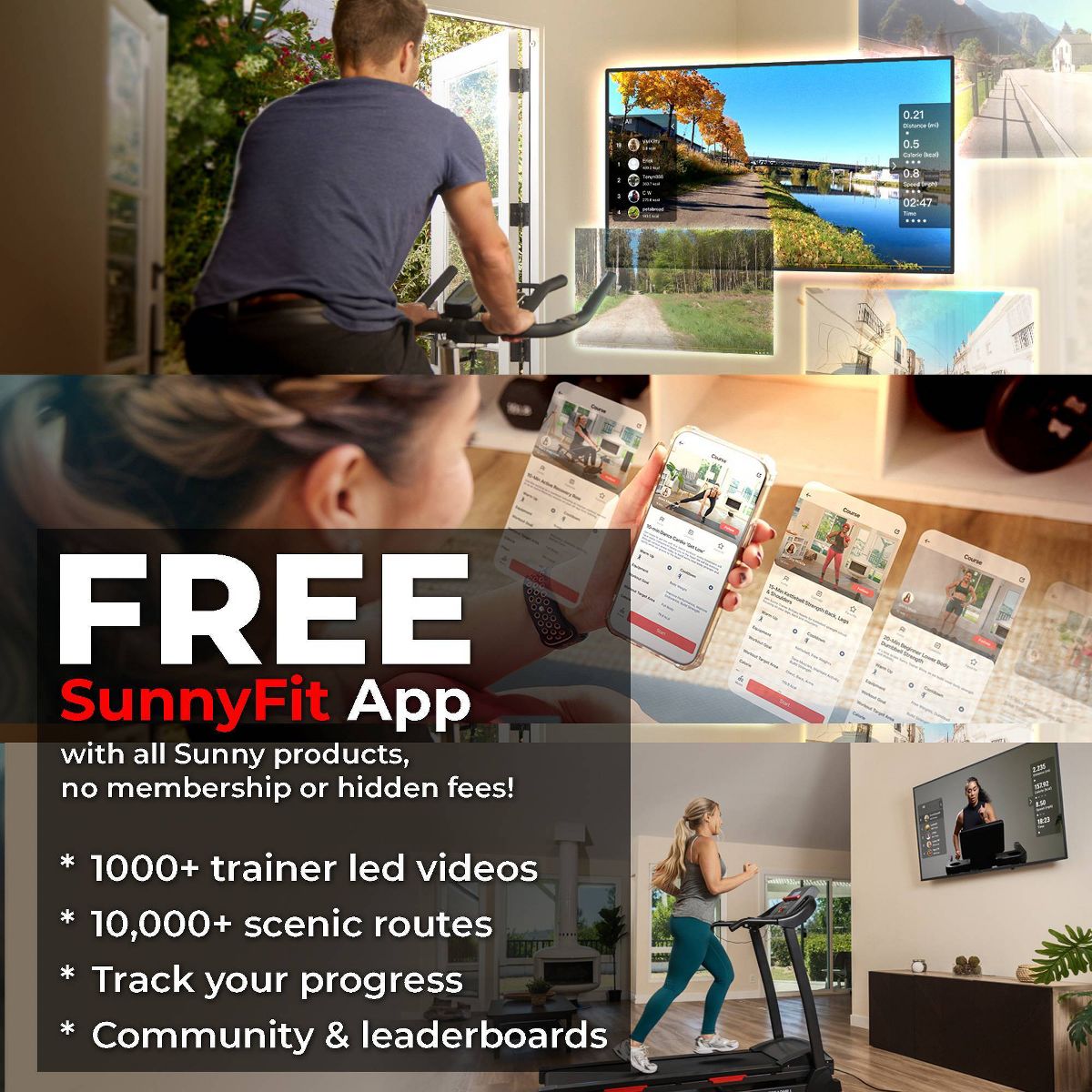 Sunny Health & Fitness Exercise Cycling 2-in-1 Advanced Cadence and Speed Sensor Bike Activity Tracker - thumbnail 4