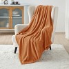 Bedsure Flannel Blanket – Solid Color Plush Throw, Ultra Soft and Fuzzy, 300GSM Lightweight Cozy Blanket for Bed or Sofa - 2 of 4