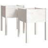 Garden Planters 2 pcs White 50x50x70 cm Solid Pinewood - 2 of 4