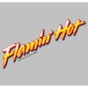 Women's Cheetos Flamin' Hot Logo T-Shirt - 2 of 4