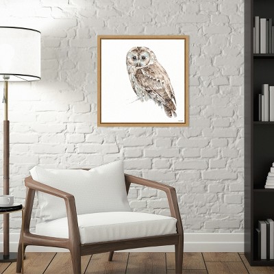 Small Brown and Aqua Framed Owl Canvas Print