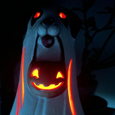 Guest review image 3 of 6, zoom in