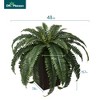 DR.Planzen Artificial Fern Plant in 15.7"/16'' Plastic Planter (3 Colors) - Faux Indoor/Outdoor Floor Plants Tall House Plant (Set of 2) - 2 of 4