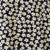 navy white daisy