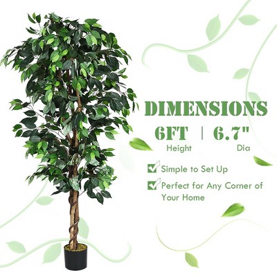 6-Foot Green Artificial Ficus Silk Tree with Wood Trunks