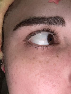 Guest review image 1 of 4, zoom in