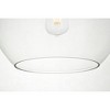 Elegant Lighting Baxter 1 Light Black Pendant With Clear Glass - 4 of 4
