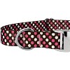 Country Brook Petz Premium Dog Collar - Abstract Collection - 4 of 4
