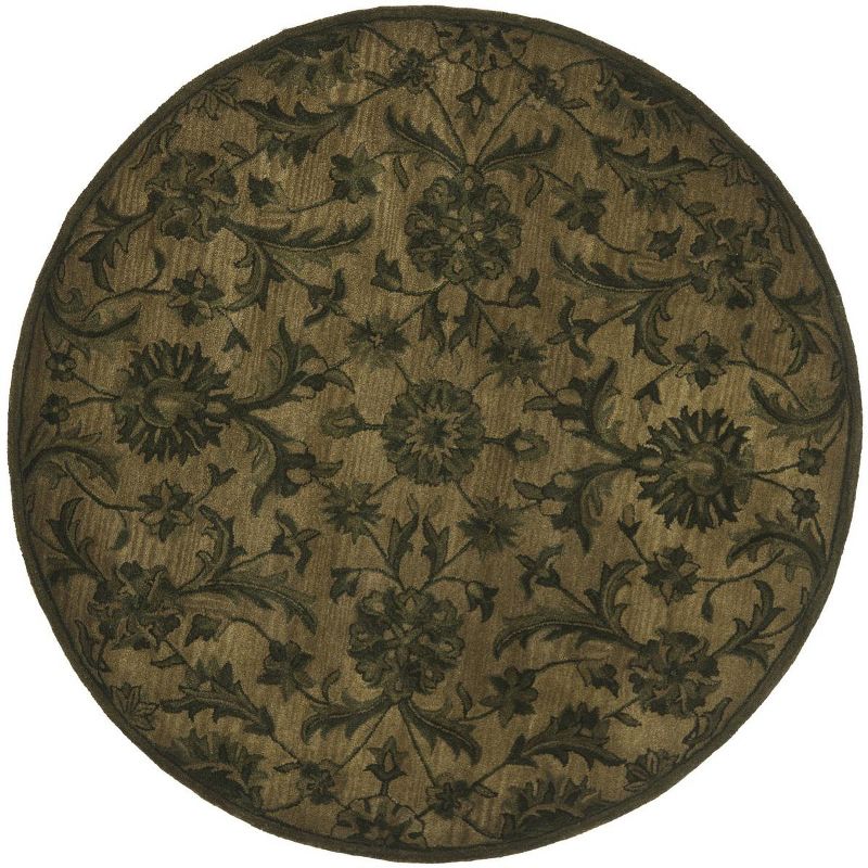 Antiquity AT824 Hand Tufted Area Rug  - Safavieh, 1 of 5