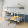 Twin Over Twin Bunk Bed with Metal Frame and Ladder - 4 of 4