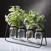 Sullivans Four Glass Bottle Vase Stand 6.25"H Black - 4 of 4