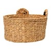 Storied Home Hand-Woven Water Hyacinth Frog Basket - 4 of 4