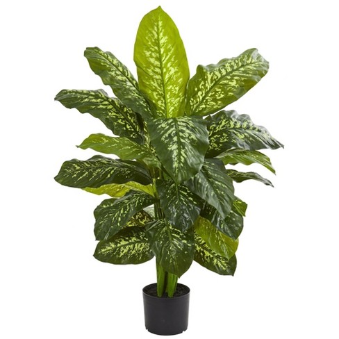 Artificial Dieffenbachia Floor Plant - 40-inch Potted Faux Greenery For  Home Or Office Decoration – Natural Looking Polyester Leaves By Pure Garden  : Target