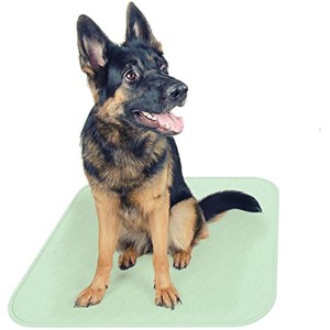 Puppy Pads Pet Training Mat- Quick Absorb, Waterproof, Machine Washable, Reusable- Dog Housebreaking, PETMAKER - 1 of 1