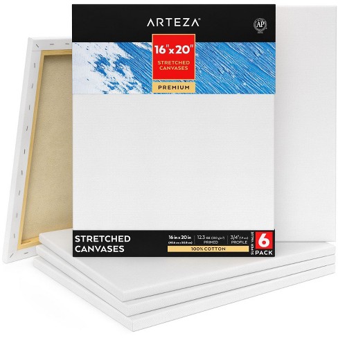 arteza artz x20