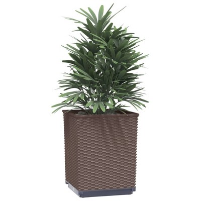 vidaXL Planters 2 pcs Brown 11.8"x11.8"x14.6" Polypropylene