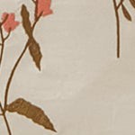 beige-01