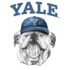 Mens Yale University Handsome Dan School Cap T Shirt - 2 of 4