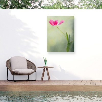 Trademark Fine Art - Linda D Lester Spring Tulip Matted Framed Art