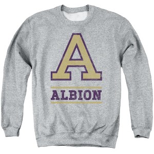 Albion College Official Distressed Primary Logo Adult Crewneck Sweatshirt - 1 of 4