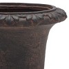 Paul Planter - Indoor/Outdoor - PAT5037 - Safavieh - 4 of 4